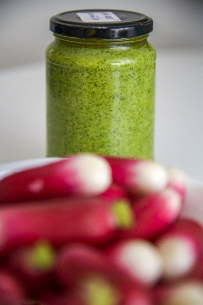 Recette de pesto de fanes de radis