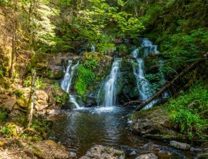 Cascade de la randonnée Rötenbachschlucht en forêt-noire en Allemagne