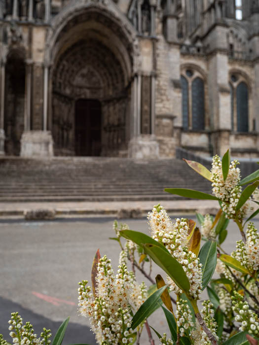 Détails sur la cathédrale de Chartres en France