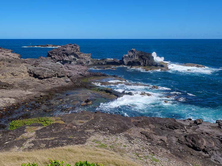 Randonnée de la presqu'île de la Caravelle en Martinique
