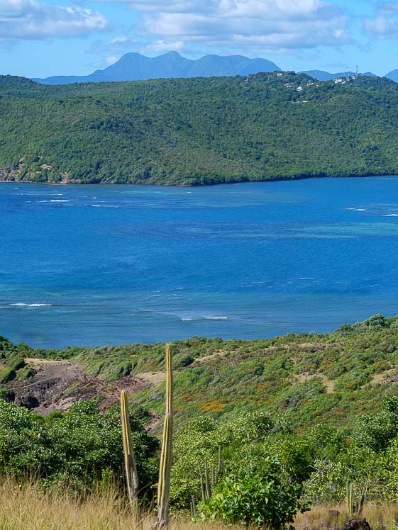 Randonnée de la presqu'île de la Caravelle en Martinique