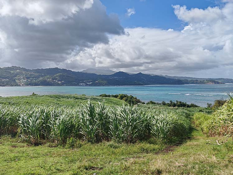Point de vue depuis le Morne Pavillon sur la presqu'île de la Caravelle, Martinique