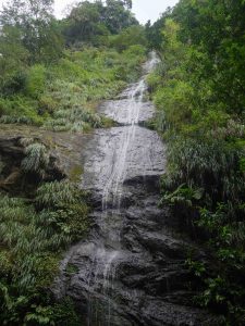 Randonnée vers la cascade couleuvre en Martinique