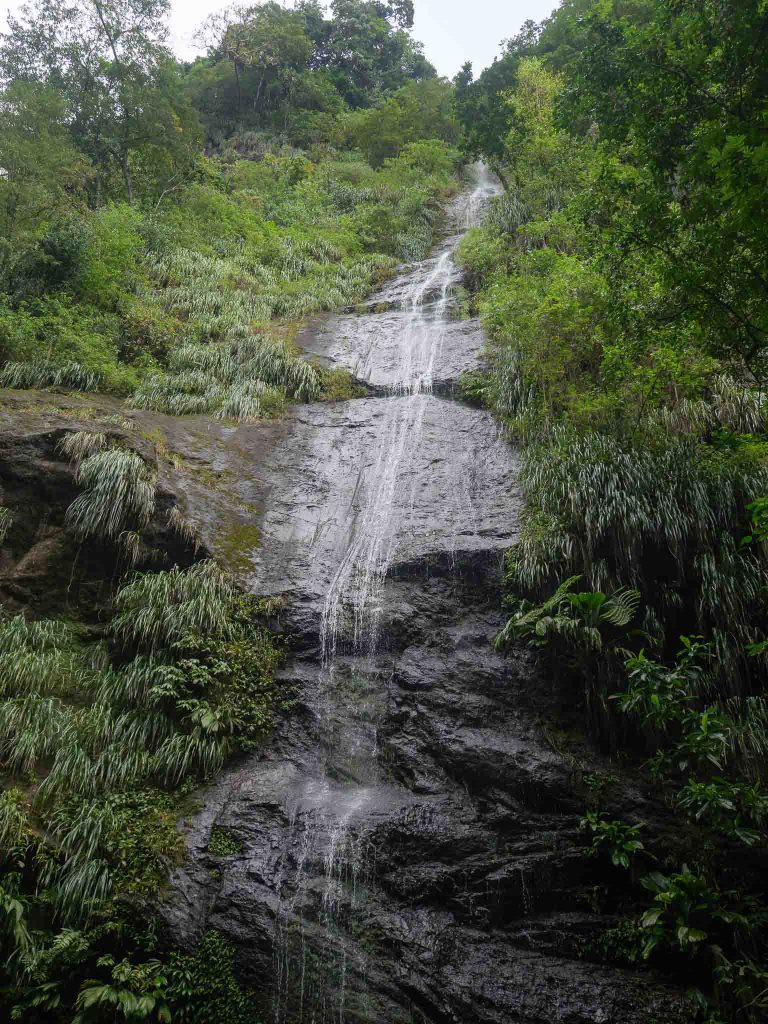 Randonnée vers la cascade couleuvre en Martinique