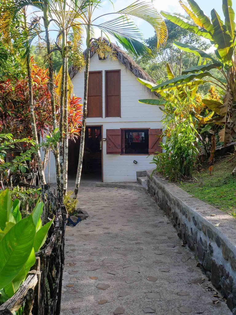 Visite de la savane des esclaves à Trois-Ilets en Martinique